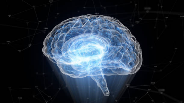 istock The human brain rotates formed of luminous particles. Plexus structure revolving around. 3d illustration 1146449463