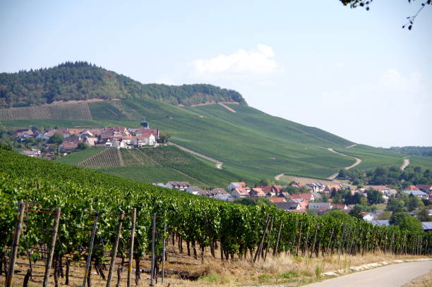 istock Idyllic village on the vineyard in southern Germany 1146450078