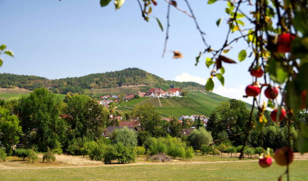istock Idyllic village on the vineyard in southern Germany 1146450086