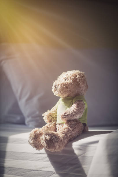 istock lonely doll bears near the window 1146451007