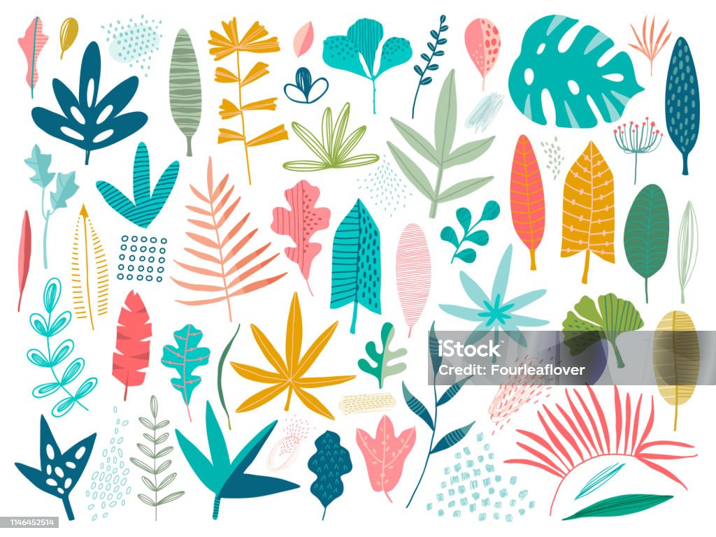Conjunto de colección de diferentes verdes tropicales, bosques, árboles del parque hojas ramas ramitas plantas hierbas del follaje - arte vectorial de Hoja libre de derechos