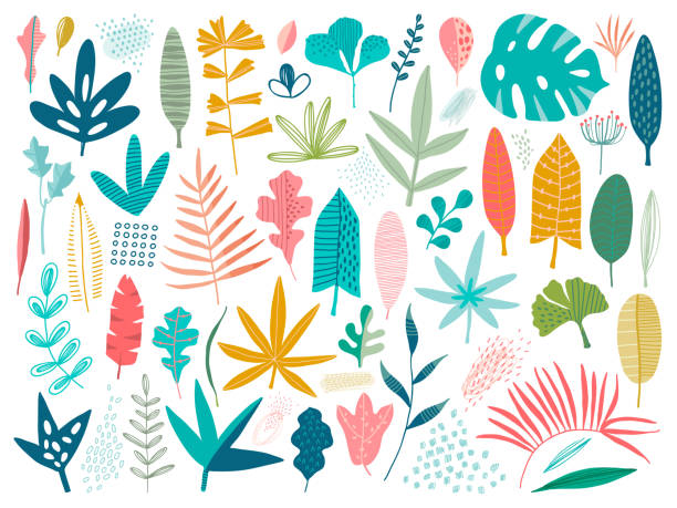 bildbanksillustrationer, clip art samt tecknat material och ikoner med samling uppsättning av olika gröna tropiska, skog, park träd lämnar grenar kvistar växter lövverk örter - naturen illustrationer