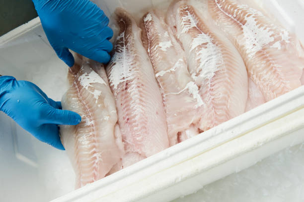 istock Fresh fish in a fishshop 1146453451