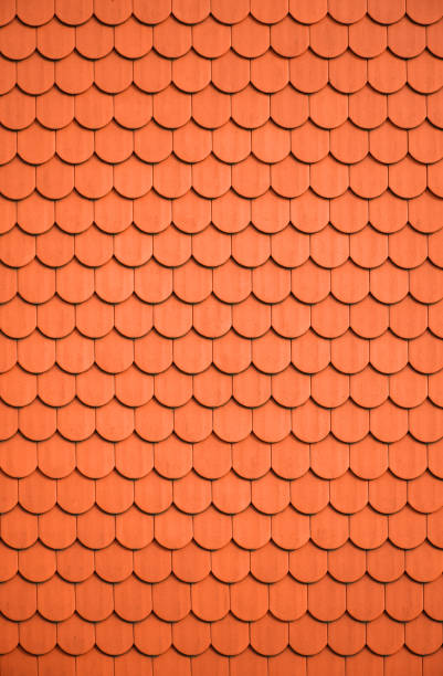 istock background from roof tiles 1146453908