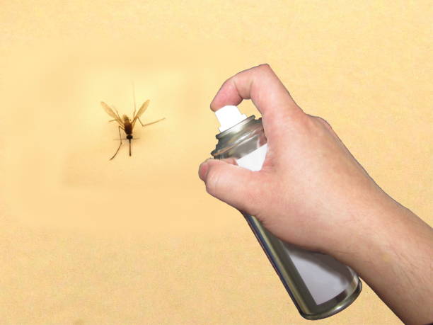 livrar-se de mosquitos - insect repellant mosquito bug bite spraying - fotografias e filmes do acervo