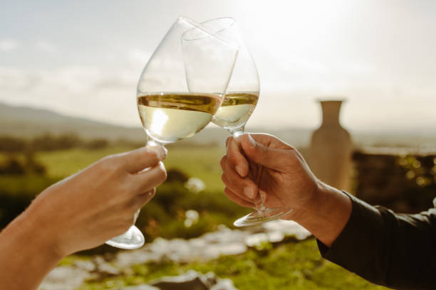 Couple toasting white wine in a vine yard