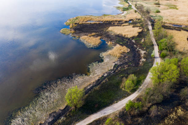 istock Aerial view of a spring field with burnt grass 1146456197
