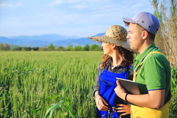 istock Two farmer standing in a field and looking at tablet 1146456564