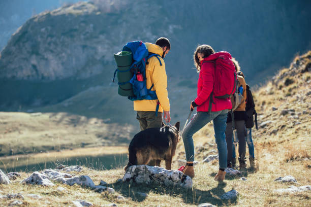 istock Group of hikers walking on a mountain at autumn day 1146457733