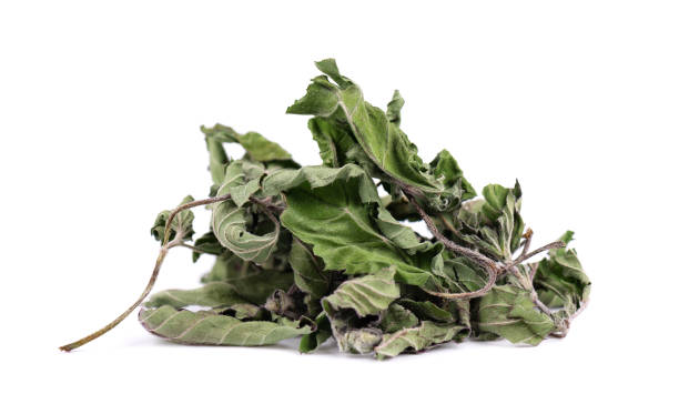 istock Dried mint leaves, isolated on white background. Dried peppermint pile. Medicinal herbs. 1146458659