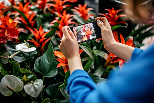 istock My flowers, my precious 1146459805