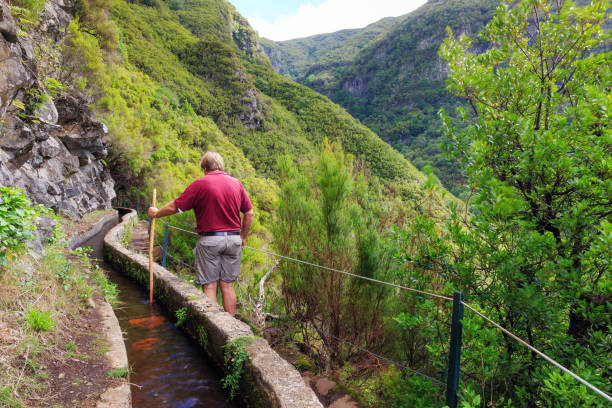 Beautiful landscape view of a senior tourist on the hiking path in nature on the green island Madeira, during a hike on a trail along a famous levada