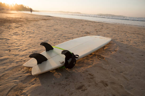 istock Surfboard on sandy beach in the sunrise 1146468234