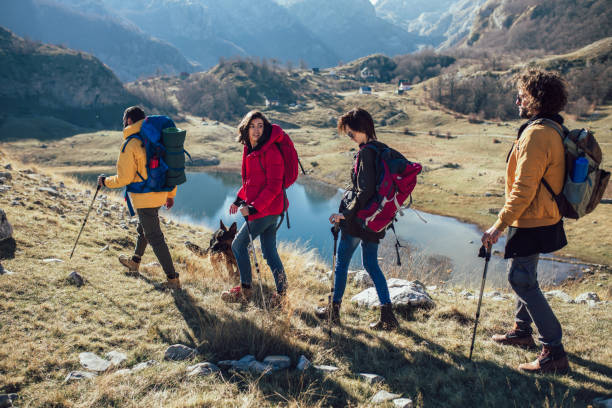 istock Group of hikers walking on a mountain at autumn day 1146468322