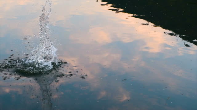 Stone thrown into the water