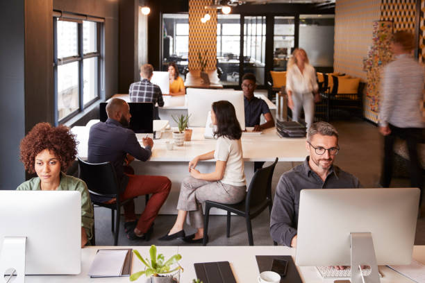 istock Elevated view of creative business colleagues working in a busy office 1146472674