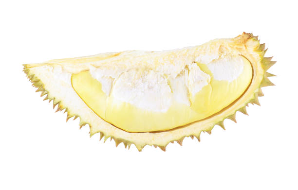 istock durian fruits isolated on white background,with clipping path. 1146477150