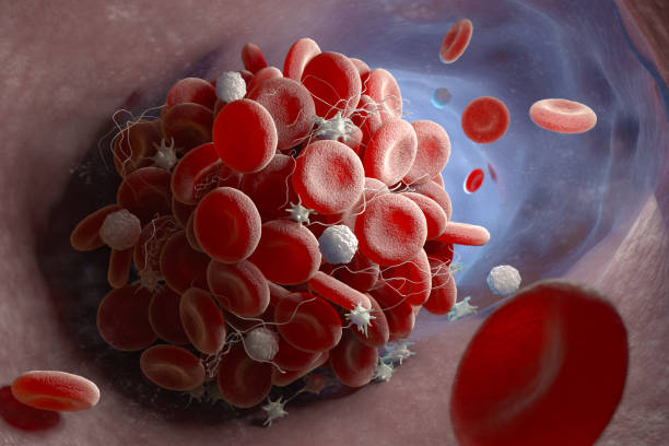 血栓の形成 - human blood vessel human cardiovascular system cell blood cell ストックフォトと画像
