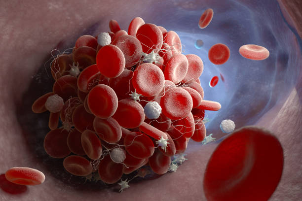 tworzenie się zakrzepów krwi - human cardiovascular system blood human blood vessel platelet zdjęcia i obrazy z banku zdjęć