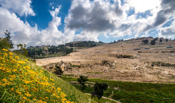 Kidron Valley and Mount of Olives View of Kidron Valley and the Mount of Olives, with yellow flowers kidron valley stock pictures, royalty-free photos & images