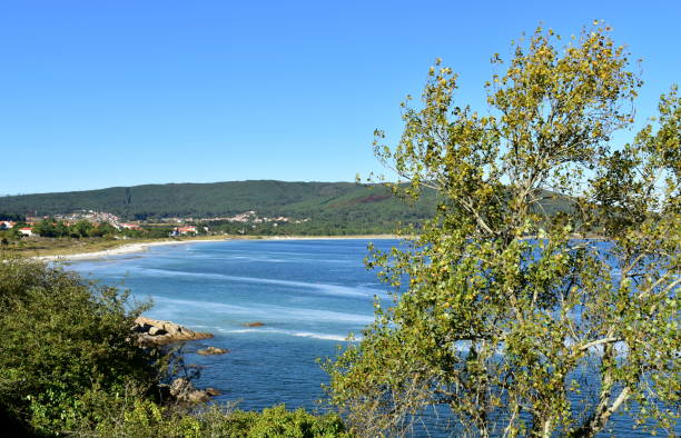 istock Bay with beach and forest. Blue sea, clear sky, Spain. 1146481504