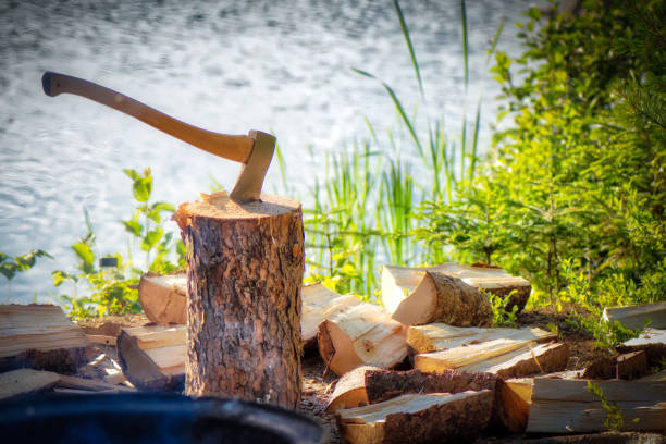 Woodsmans' Axe in a chopping block.