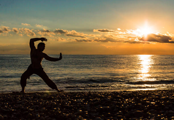 istock Silhouette of a man practices wing-chun on the beach 1146484004
