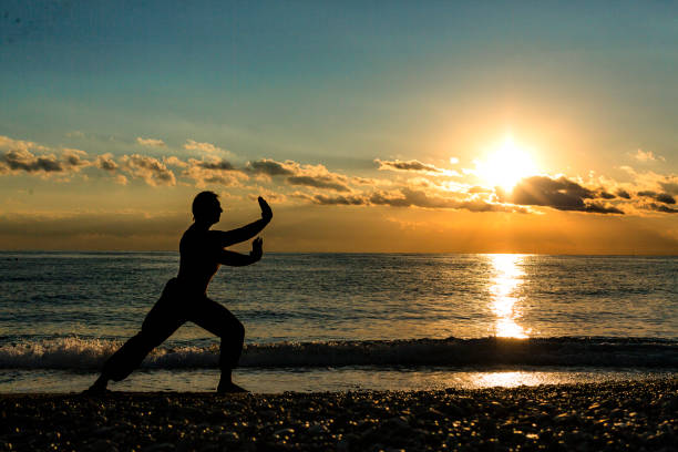 istock Silhouette of a man practices wingchun on the beach 1146484037