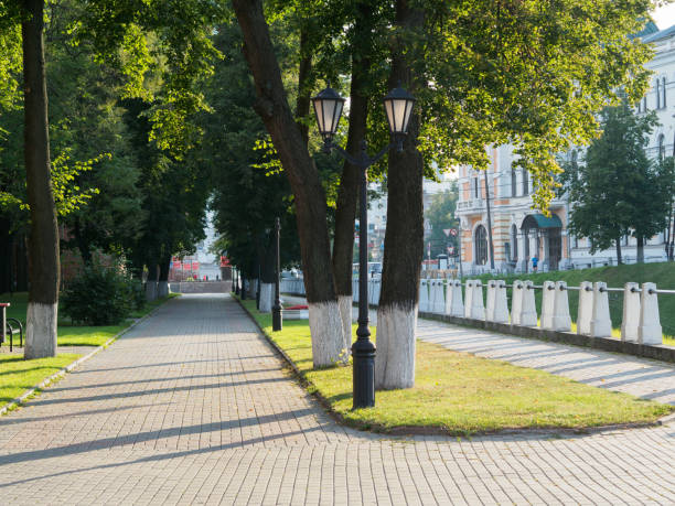 istock Alley in the park in morning light. 1146485440