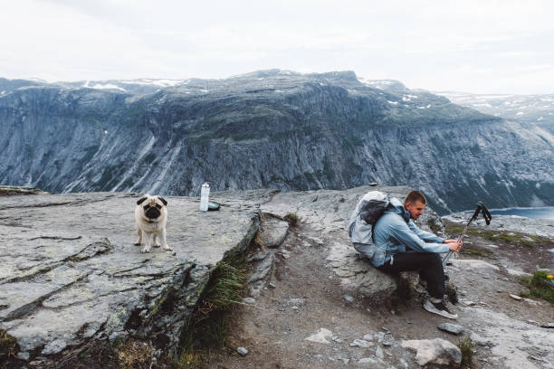 istock Man with backpack and a dog relaxing at the mountains in Norway 1146488082