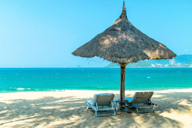 istock Two loungers under strawy parasol on sandy beach 1146489778