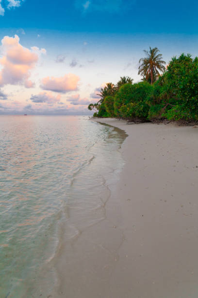 istock Maldives,  tropical sea background sunset 1146490322
