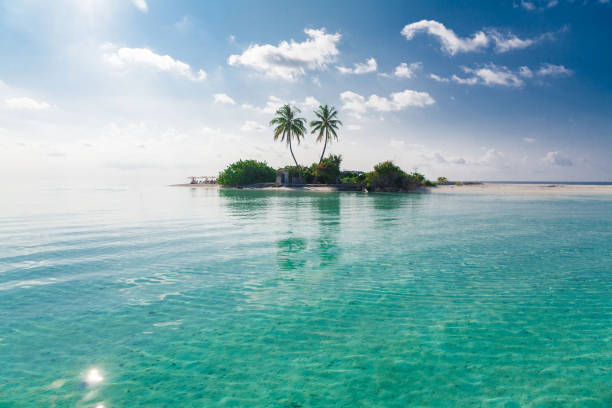 istock Maldives,  tropical sea background 1146490595