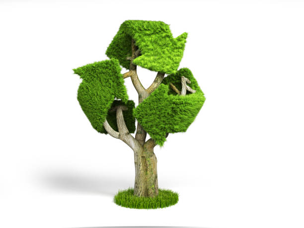 Recycle symbol on green bokeh background. eco and save the earth concept. An ecological metaphor for ecological waste management and a sustainable and economical lifestyle.