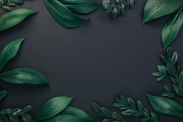 istock Frame made of leaves on black background with space for text 1146494674