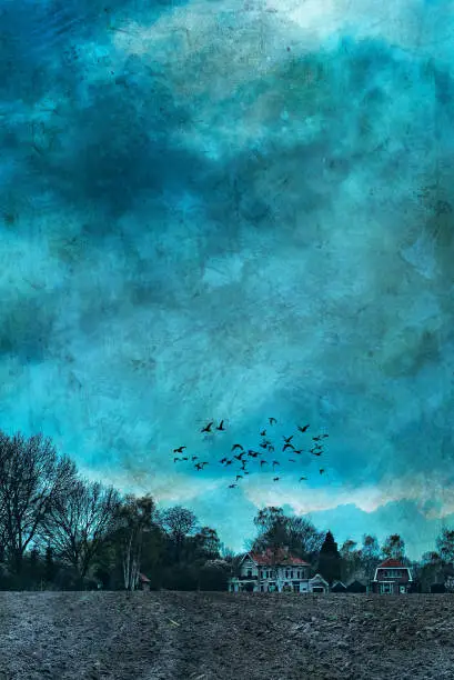 Photo of House in countryside under dark cloudy sky with birds.