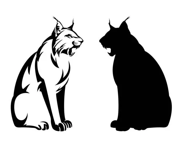 Vector illustration of sitting lynx black vector outline and silhouette