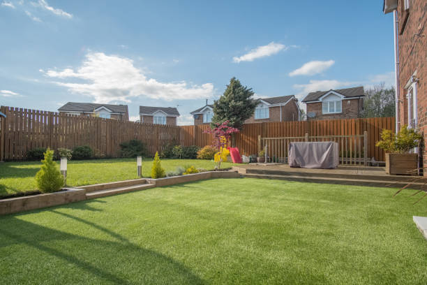 istock Newly Constructed Modern Landscaped garden 1146496768
