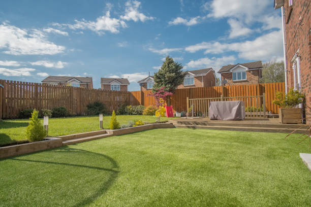 istock Newly Constructed Modern Landscaped garden 1146496825