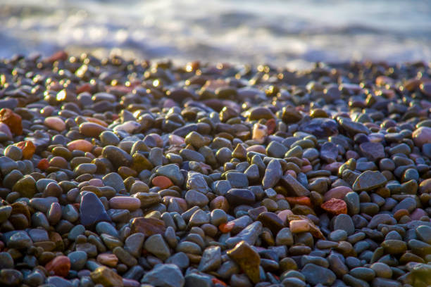istock Sea pebble, stones background, beach rocks 1146499658