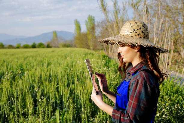istock Young female farmer with digital tablet 1146501483