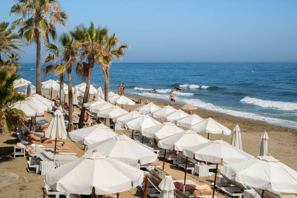 les gens à la plage avec des palmiers sur la rive de la mer méditerranée, la ville de marbella et la zone de villégiature, la province de malaga, la région d’andalousie, l’espagne, l’europe occidentale. - shirtless beach women bikini photos et images de collection