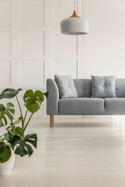istock Gray comfortable sofa in stylish living room 1146503847