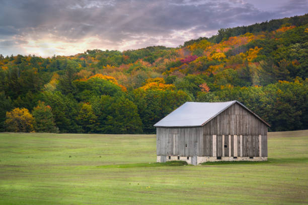 istock Old Barn in Field in the Fall 1146505261