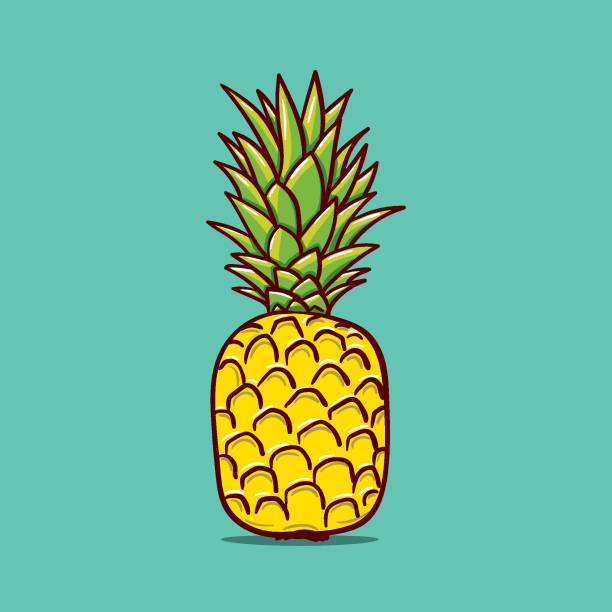illustrazioni stock, clip art, cartoni animati e icone di tendenza di illustrazione del contorno ananas. illustrazione disegnata a mano da uno schizzo di doodle vettoriale - watermelon melon fruit juice
