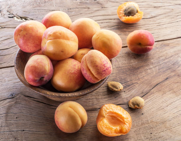 istock Ripe apricots on the orchard tree in the garden. 1146510493