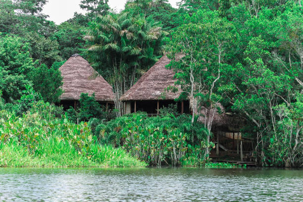 istock Cabins along the river in the Amazon 1146510851