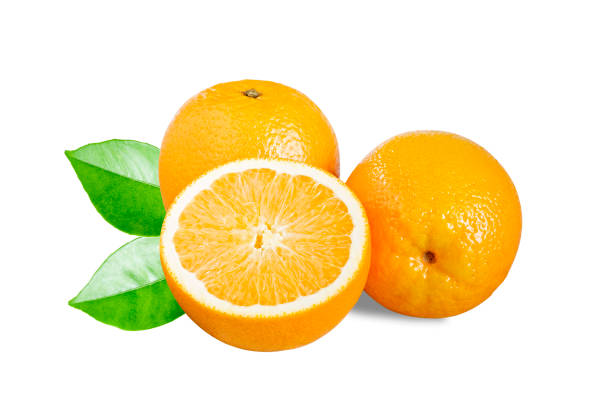 istock Several orange groves photographed from above 1146515801
