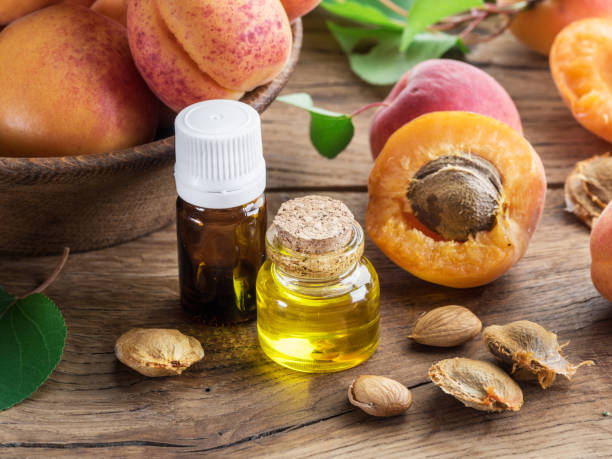 istock Apricot kernel oil and apricot kernels. 1146517015