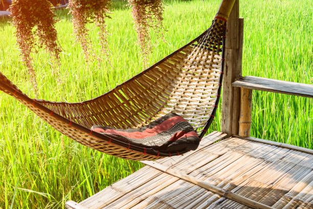 istock bamboo hammock beside green rice field on Summer relax 1146522348